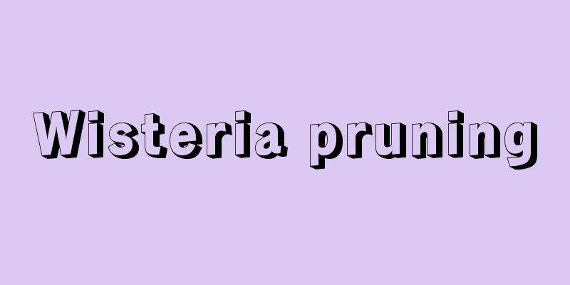 Wisteria pruning