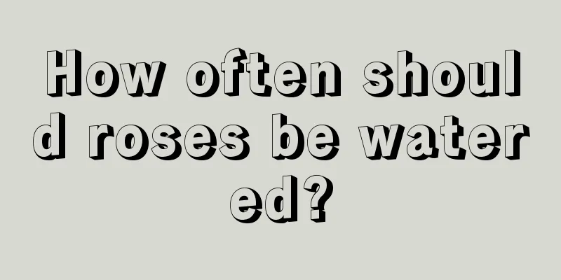 How often should roses be watered?