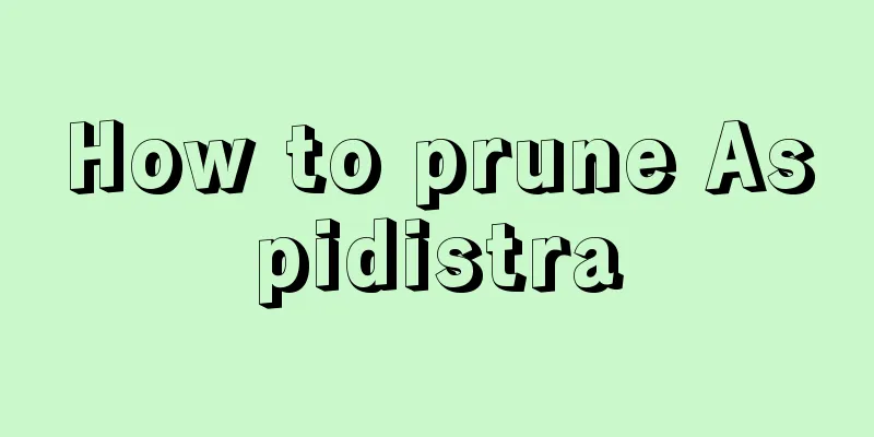 How to prune Aspidistra