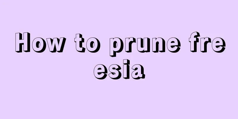 How to prune freesia