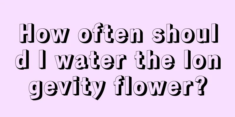 How often should I water the longevity flower?