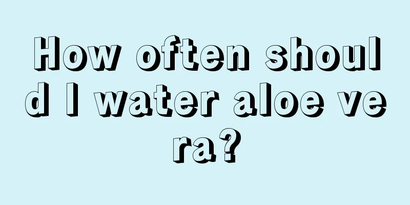 How often should I water aloe vera?