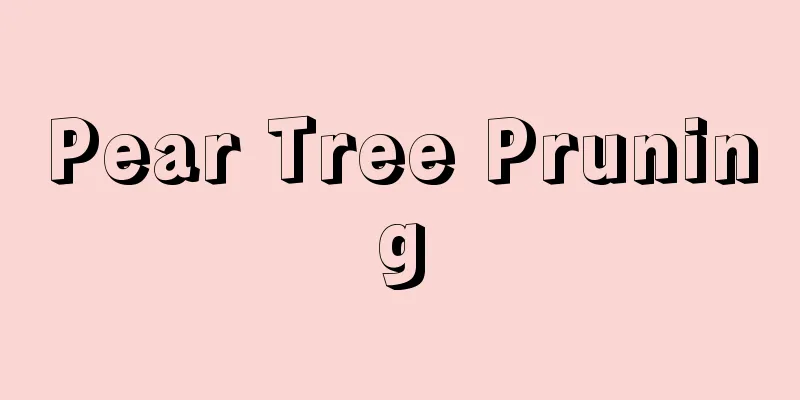 Pear Tree Pruning