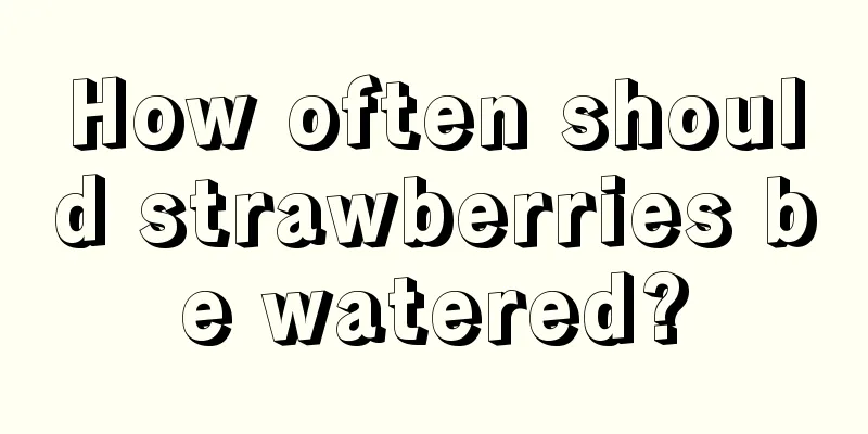 How often should strawberries be watered?