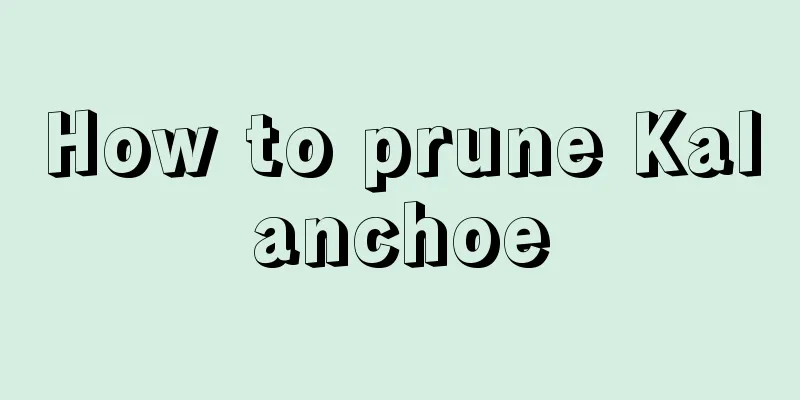 How to prune Kalanchoe