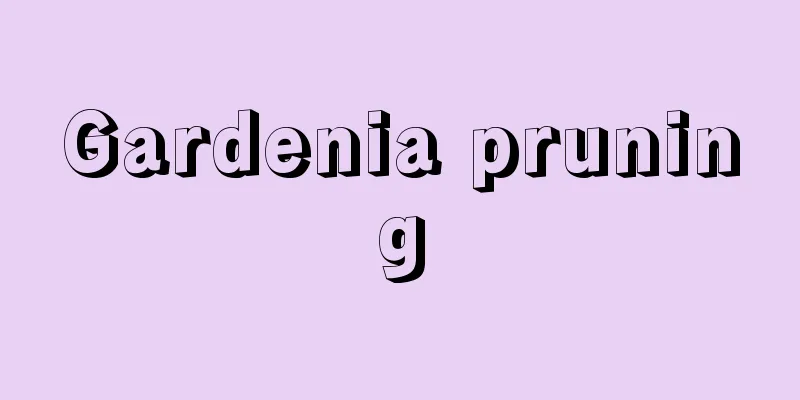 Gardenia pruning