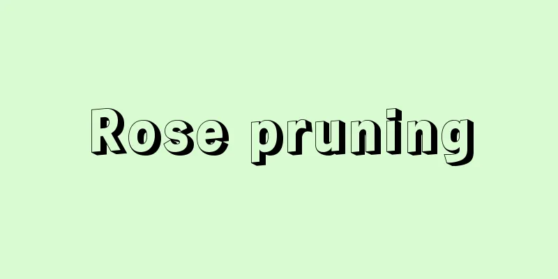 Rose pruning