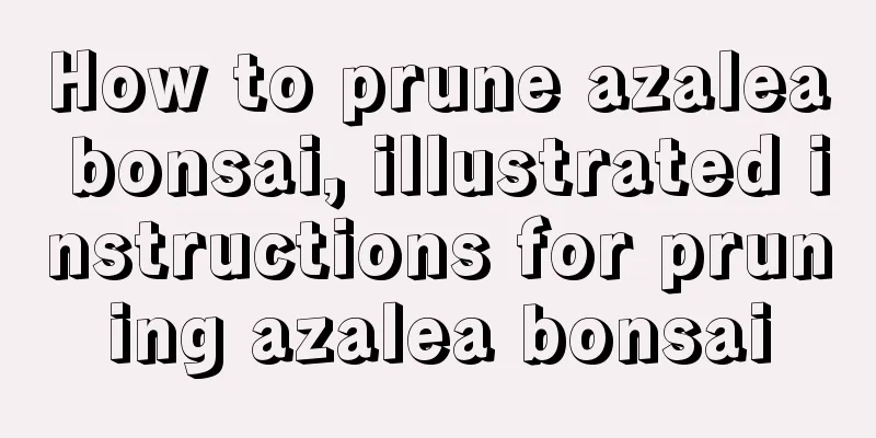 How to prune azalea bonsai, illustrated instructions for pruning azalea bonsai