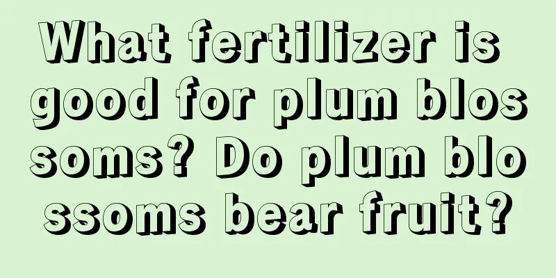 What fertilizer is good for plum blossoms? Do plum blossoms bear fruit?