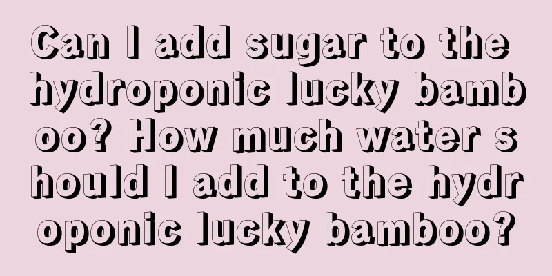 Can I add sugar to the hydroponic lucky bamboo? How much water should I add to the hydroponic lucky bamboo?