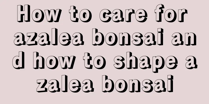 How to care for azalea bonsai and how to shape azalea bonsai