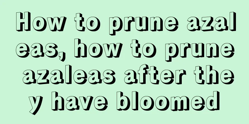 How to prune azaleas, how to prune azaleas after they have bloomed