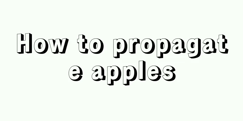 How to propagate apples