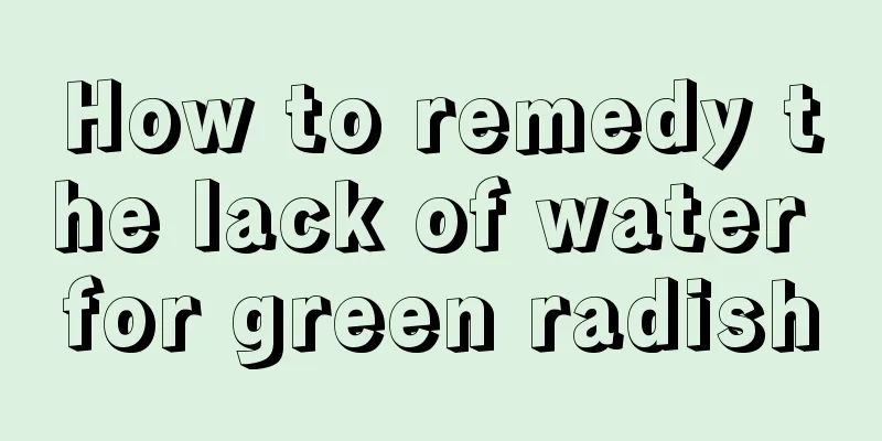 How to remedy the lack of water for green radish