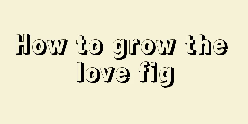 How to grow the love fig