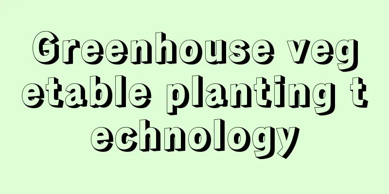 Greenhouse vegetable planting technology