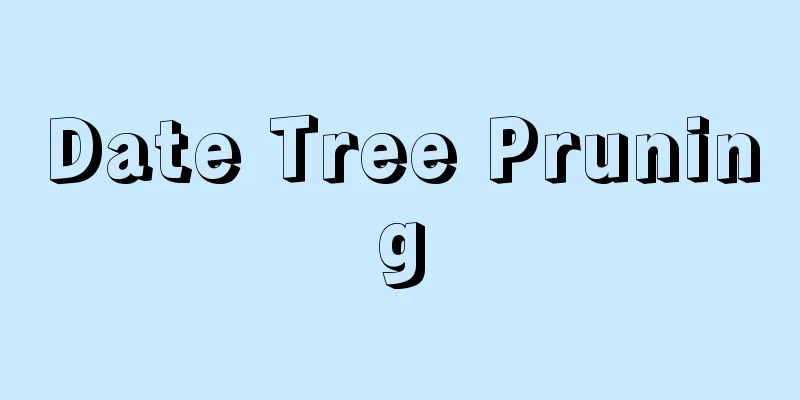 Date Tree Pruning