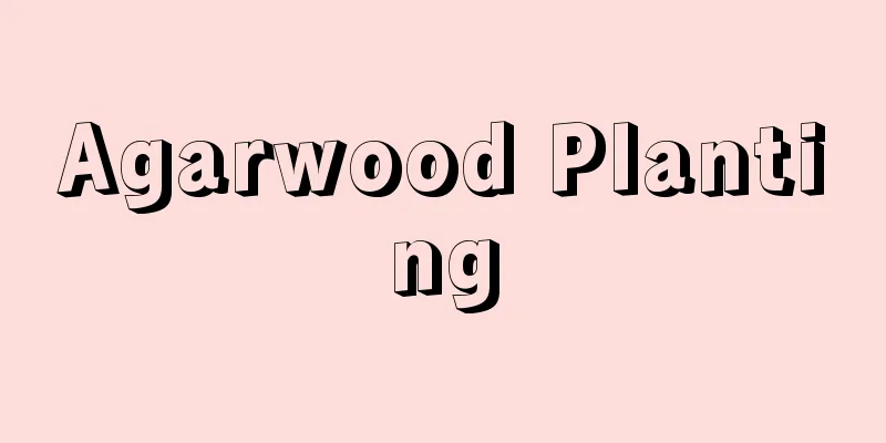 Agarwood Planting