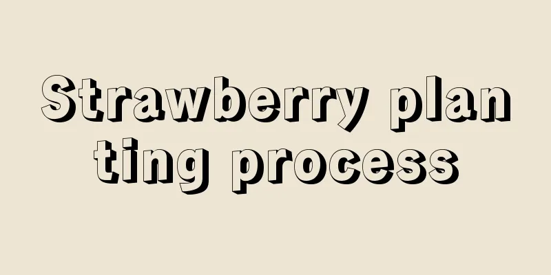 Strawberry planting process