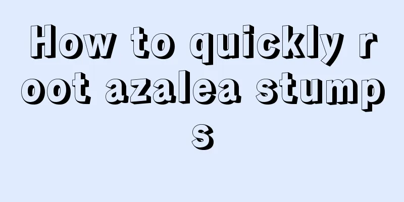 How to quickly root azalea stumps