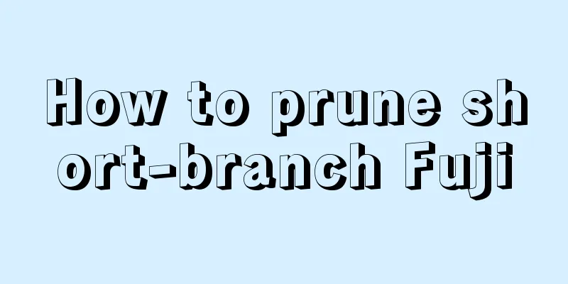 How to prune short-branch Fuji