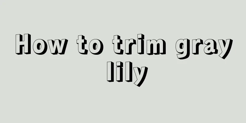 How to trim gray lily