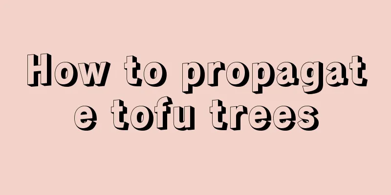 How to propagate tofu trees