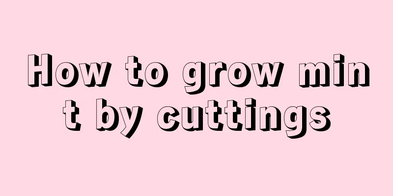 How to grow mint by cuttings