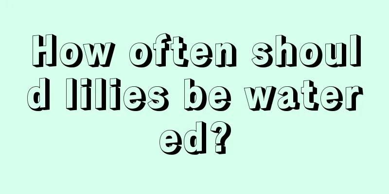 How often should lilies be watered?