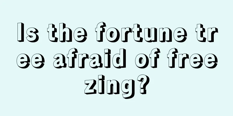 Is the fortune tree afraid of freezing?