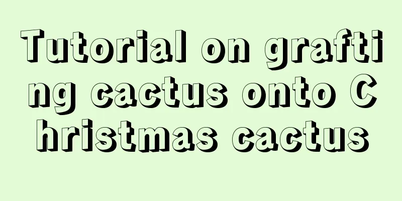 Tutorial on grafting cactus onto Christmas cactus