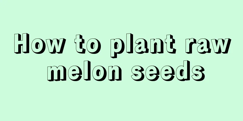 How to plant raw melon seeds