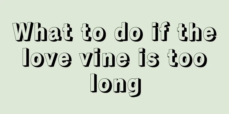 What to do if the love vine is too long