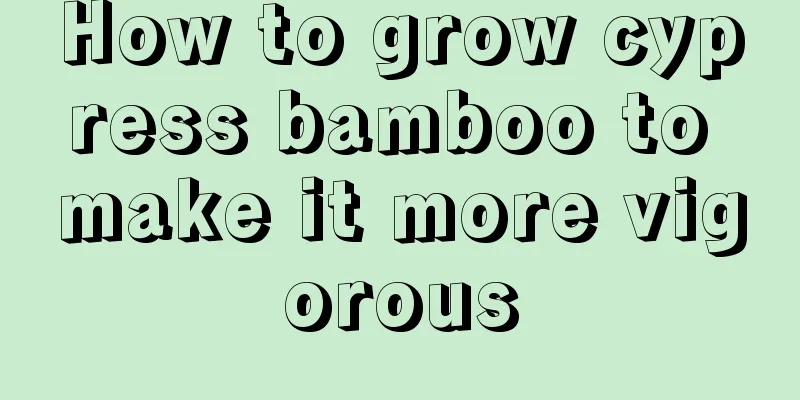 How to grow cypress bamboo to make it more vigorous