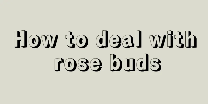 How to deal with rose buds