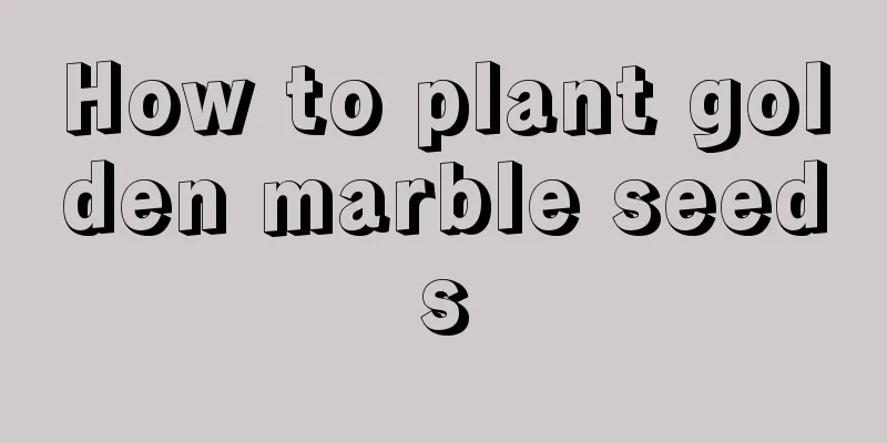 How to plant golden marble seeds