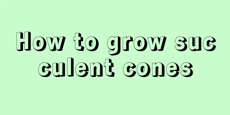 How to grow succulent cones