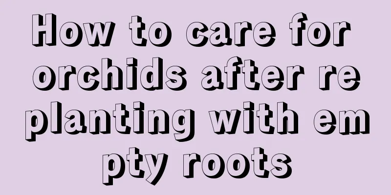 How to care for orchids after replanting with empty roots