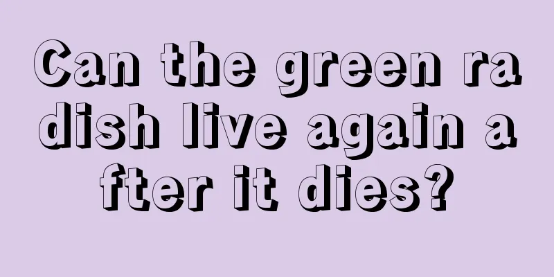 Can the green radish live again after it dies?