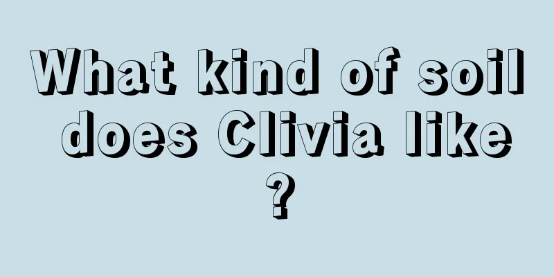 What kind of soil does Clivia like?