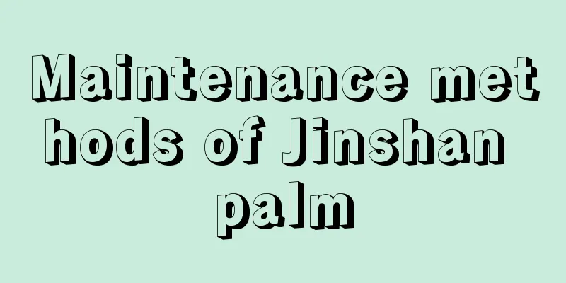 Maintenance methods of Jinshan palm