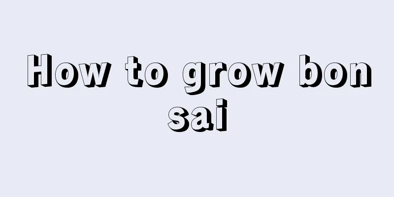 How to grow bonsai