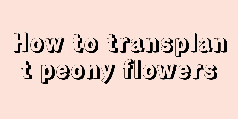 How to transplant peony flowers