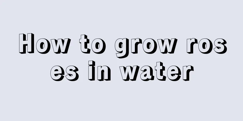 How to grow roses in water