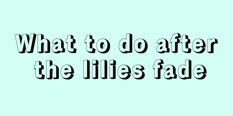 What to do after the lilies fade