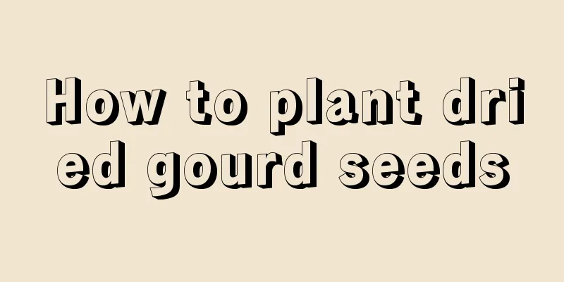 How to plant dried gourd seeds