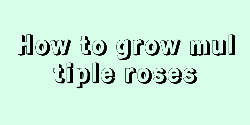 How to grow multiple roses