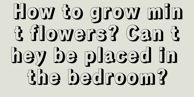 How to grow mint flowers? Can they be placed in the bedroom?