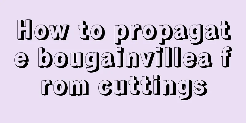 How to propagate bougainvillea from cuttings