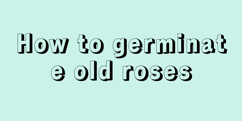 How to germinate old roses